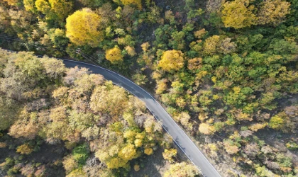Tekirdağ Genelinde Ormanlara Giriş Yasağı