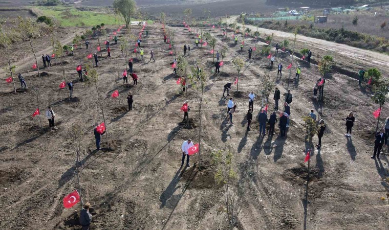 Cumhuriyet’in 100. yılı anısına “100. Yıl Cumhuriyet Ormanı” oluşturuldu