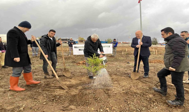 Hayrabolu’da ”100. Yıl Cumhuriyet Ormanı” oluşturuldu