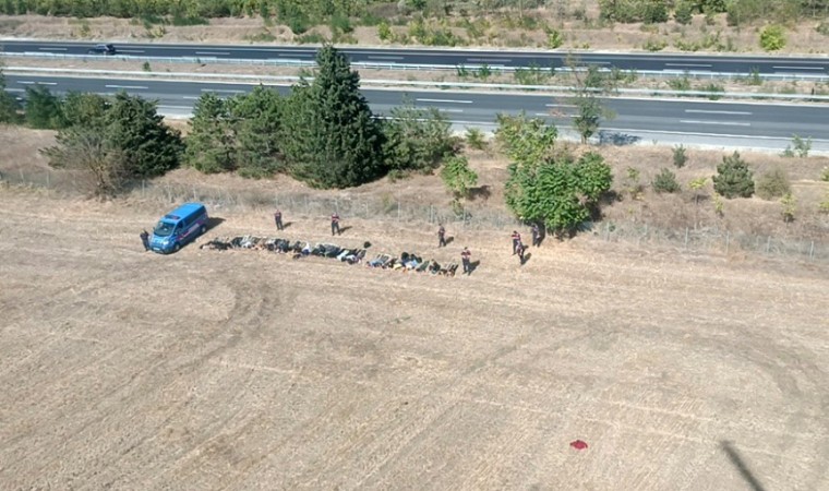 Kırklareli’nde 890 kaçak göçmen yakalandı