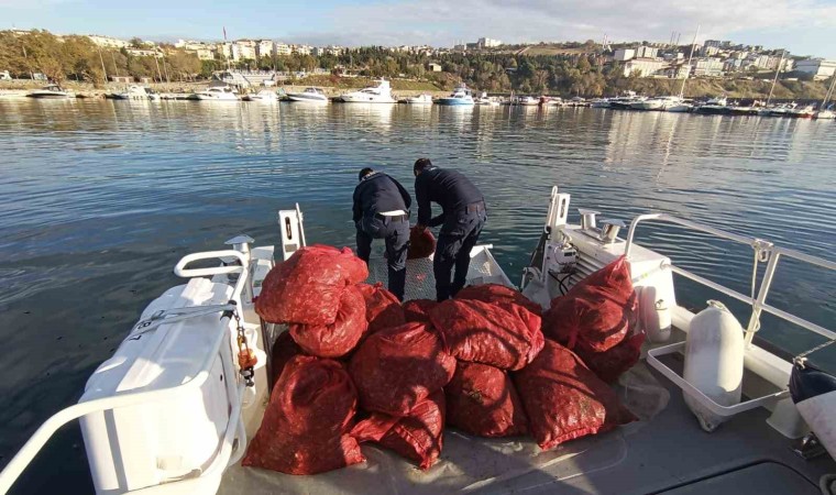 Tekirdağ’da 1,5 ton karakıllı midye ele geçirildi