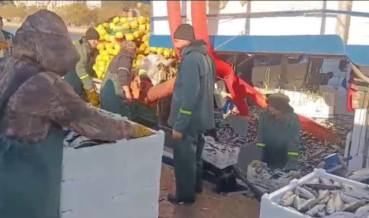 Tonlarca balıkla döndüler: Tekirdağ’da balık bereketi