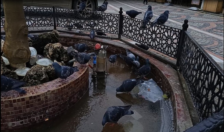 Edirne’de dondurucu soğuk etkili oldu: Süs havuzları buz tuttu