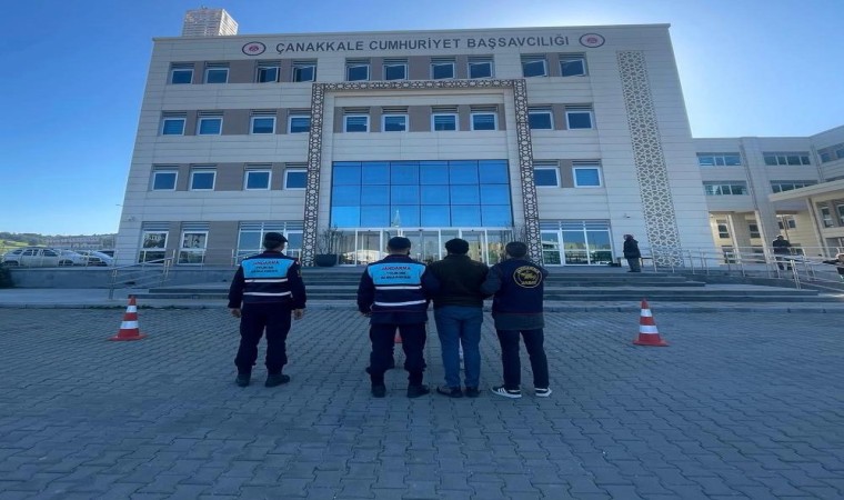 Çanakkale’de 1 koç ve 3 koyun çalan 2 şüpheli jandarma tarafından yakalandı