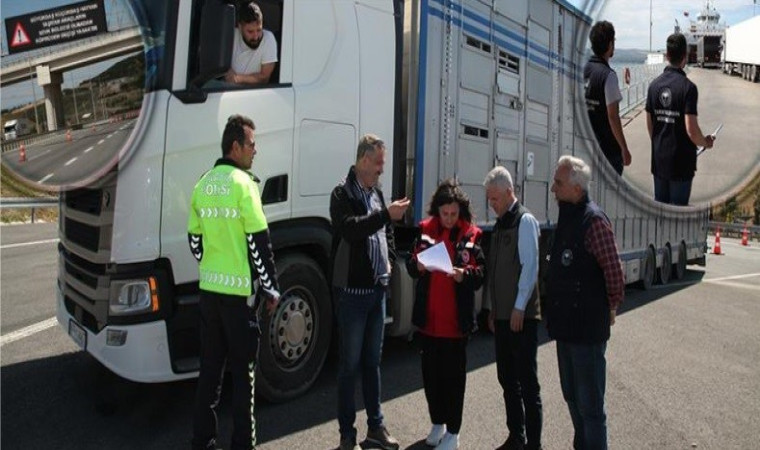 Çanakkale’de canlı hayvan nakil araçları kontrolleri sıklaştırıldı