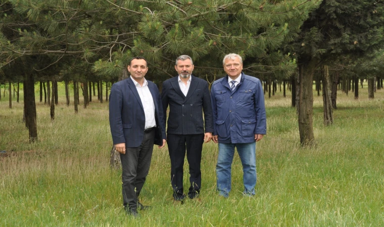 Tema Parkı’nda Piknik Festivali Düzenlenecek