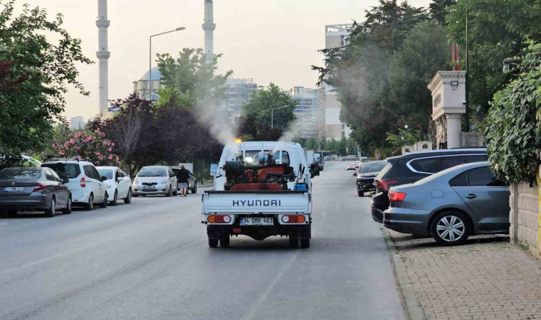 Küçükçekmece Belediyesi sivrisineklere karşı alarmda