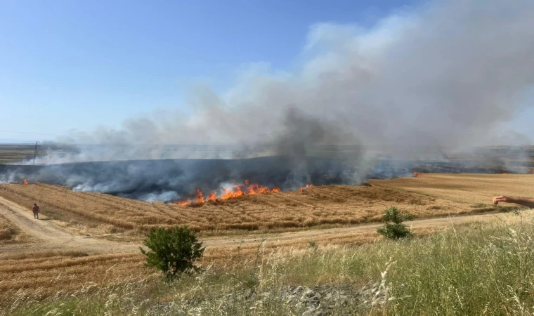 Tarla Yangınlarına Karşı Valilik Uyardı