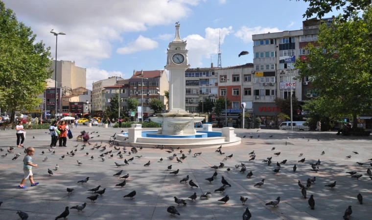 Yaz Sıcağında Güvercinler Susuz Kalıyor!