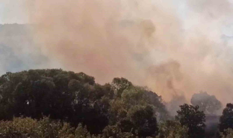 Anızdan ormana ve ayçiçeği tarlasına sıçrayan yangın söndürüldü