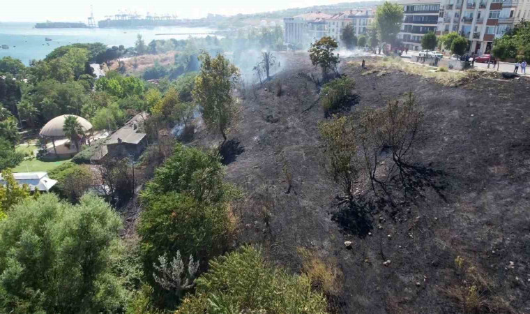 Avcılar’da otluk alanda çıkan yangın yeşili siyaha çevirdi, alan havadan görüntülendi