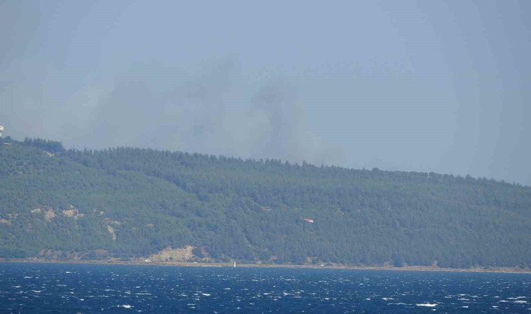 Çanakkale’de orman yangını