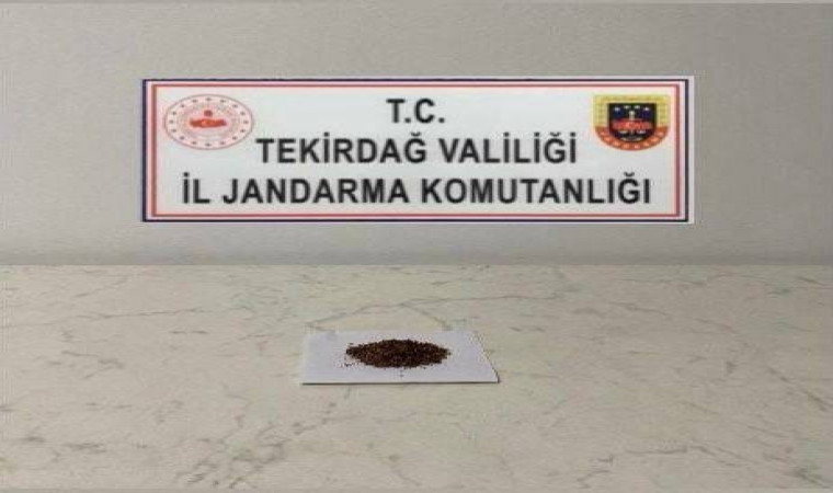 Tekirdağ’da uyuşturucu operasyonları