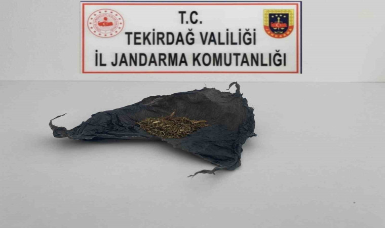 Tekirdağ’da uyuşturucu operasyonları: Bonzai ve esrar ele geçirildi