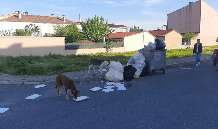 Temiz Çorlu, Mutlu Çorlulular Hareketi Başlatıldı