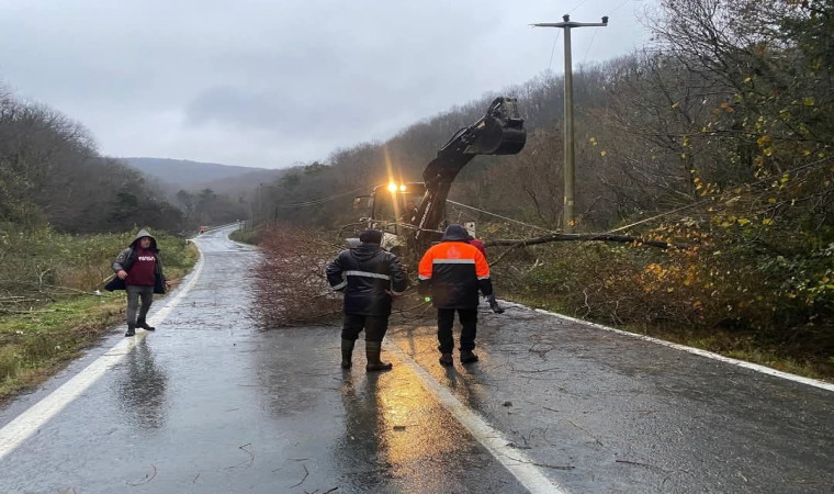 Kırklareli’nde rüzgardan kopan elektrik telleri yangına neden oldu