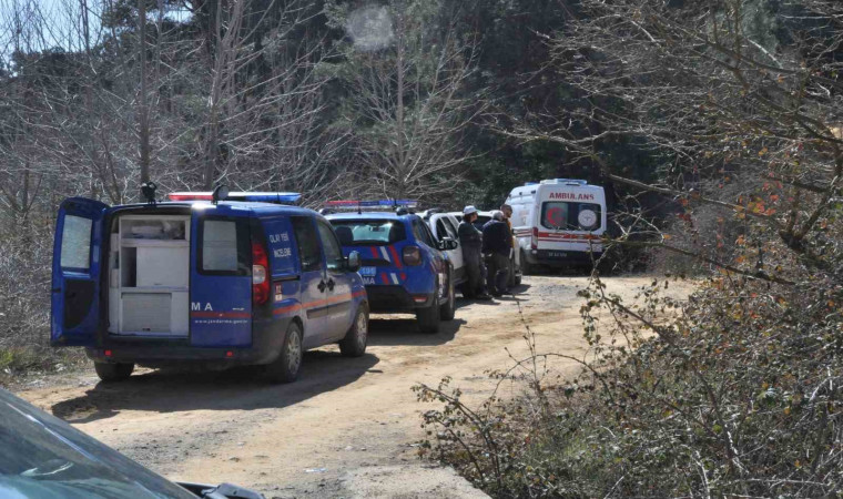 Ormanlık alanda park halindeki kamyonette başından vurulmuş halde bulundu