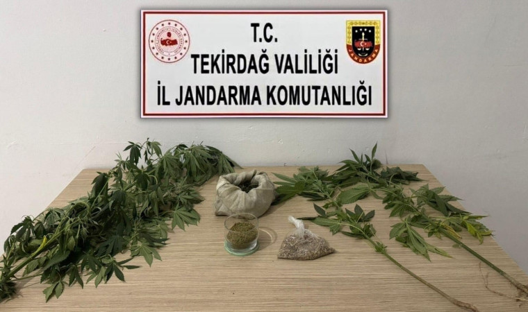 Tekirdağ’da jandarmadan 6 ayrı uyuşturucu operasyonu