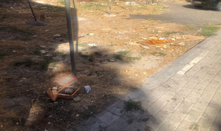 Gelişigüzel Atılan Yemekler, Çevre Sorunu Yaratıyor