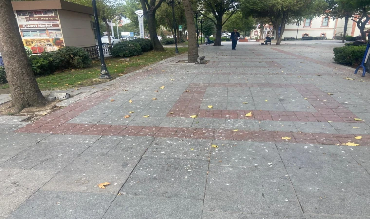 Kaldırımların Üzeri Kuş Pisliğinden Geçilmiyor