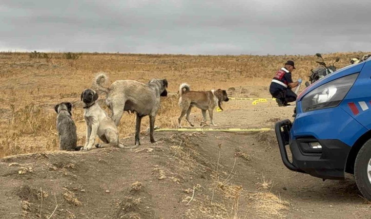Köpek tartışmasında komşusunu öldüren zanlı tutuklandı