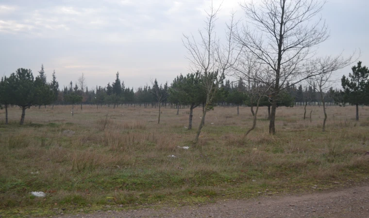 TEMA PARKI 10 YILDIR YAPILMAYI BEKLİYOR