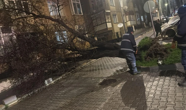 Çorlu Belediyesi Fırtınaya Karşı Teyakkuzdaydı