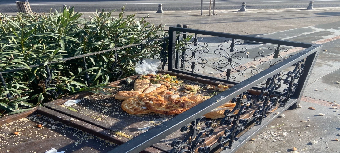 Kuş Besleme Alanında İstenmeyen Görüntüler