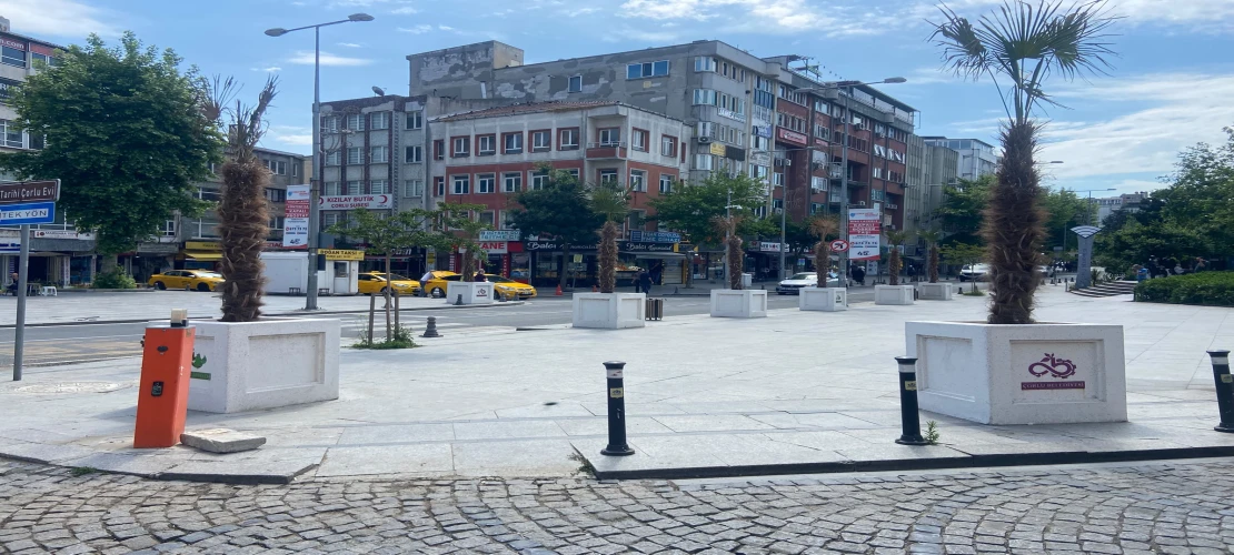 Palmiye Ağaçları Kurumaya Başladı