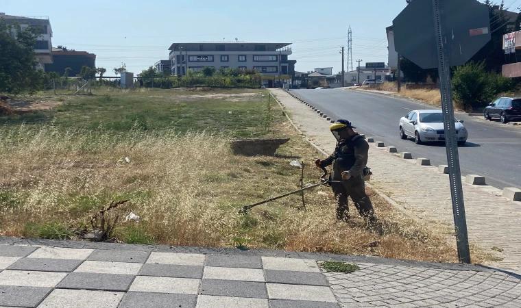 Ot Biçme Çalışmaları Sürüyor