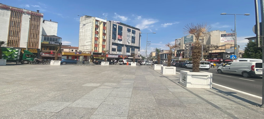 Palmiye Ağaçları Bir Bir Kuruyor!