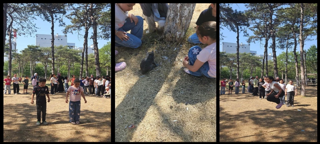 Yaz Okulu Öğrencileri Piknikte Buluştu