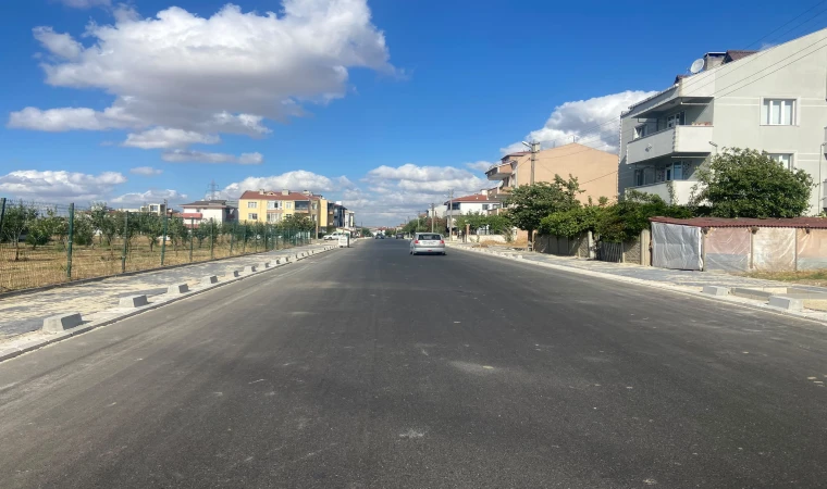 Kumru Caddesi’nin Ağaçlarıda Dikildi