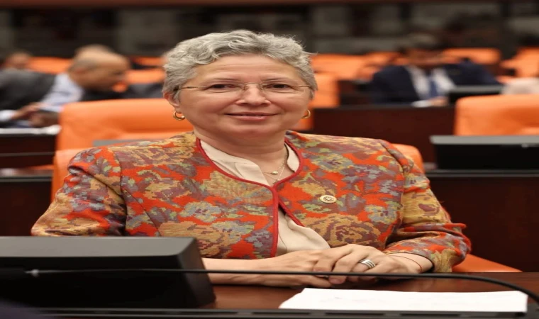 “Temiz Bir Türkiye İçin Caydırıcı Yaptırımlar Şart”