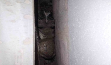 Babaeski’de iki duvar arasına sıkışan köpeği itfaiye kurtardı