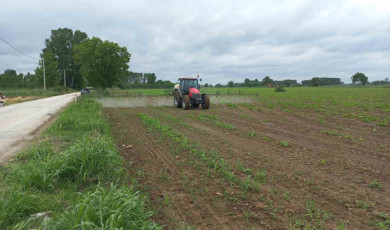 1 mayısta onlar çalışmaya devam ettiler