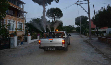 Lapseki Belediyesi sinek ve haşerelere karşı ilaçlama çalışmalarına başladı