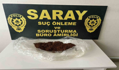 Tekirdağ’da bonzai ele geçirildi