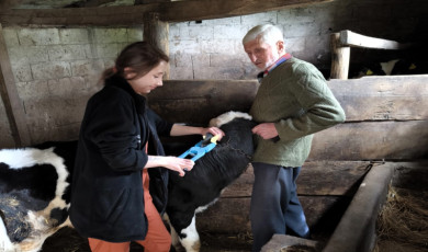 Vize’de küpeleme ve kayıt altına alma çalışması