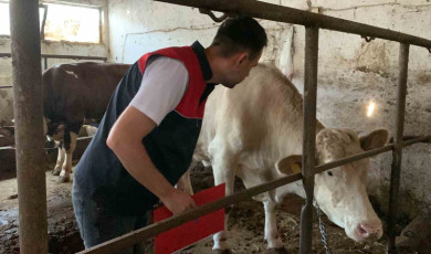 Trakya’da kurban kesim ve satış alanlarında denetleniyor