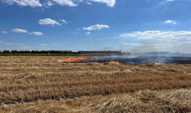 Kırklareli’nde 100 dönüm arazi küle döndü