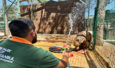Sıcak hava İstanbul’u kavurdu; hayvanlar buzlu meyve ve fıskiyeyle serinletildi