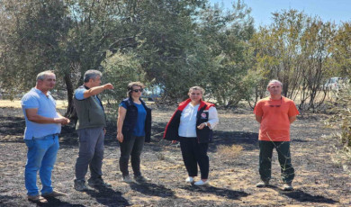 Çanakkale’de orman yangının ardından hasar tespit çalışmaları başladı