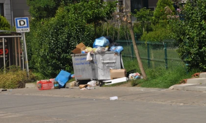 Bu Görüntüler Tepki Çekiyor