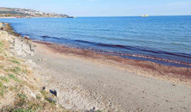 Tekirdağ’da kıyı kızıla boyandı