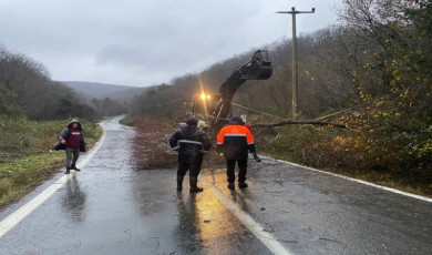 Kırklareli’nde rüzgardan kopan elektrik telleri yangına neden oldu