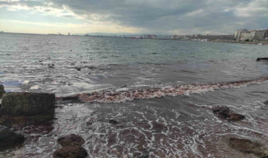 Poyraz fırtınası Marmara Denizi’ni kıyılarını kızıl renge boyadı