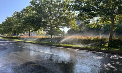 Bitkilerden Çok Yollar Sulanıyor