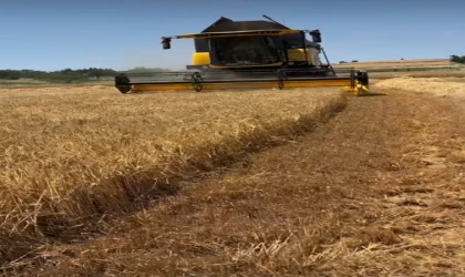 Trakya Çiftçisi Arpa Hasatına Başladı