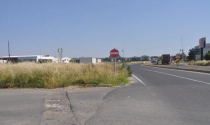 Uzayan Otlar Kazalara Davetiye Çıkartıyor